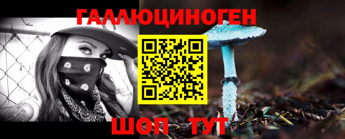 Галлюциногенные грибы Psilocybine cubensis Бор